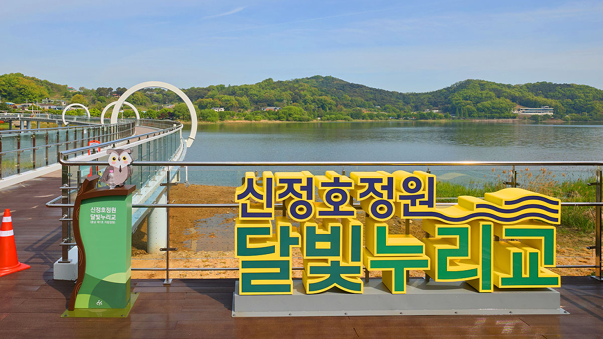 신정호정원 달빛누리교 풍경