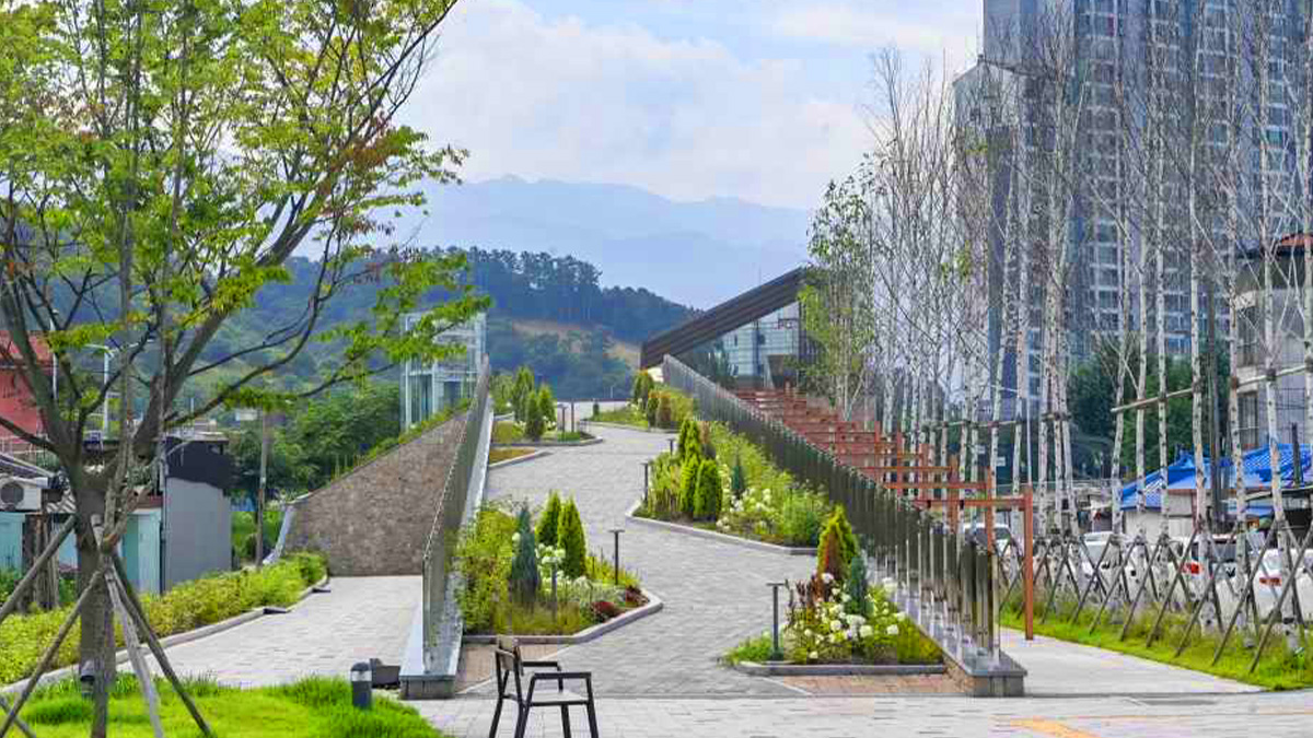치악산 바람길숲 광장