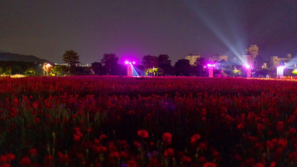 태화강국가정원 봄꽃축제 야경
