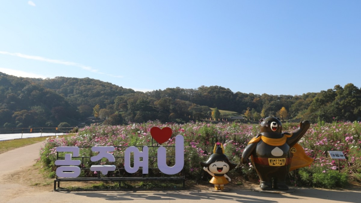 공주 미르섬
