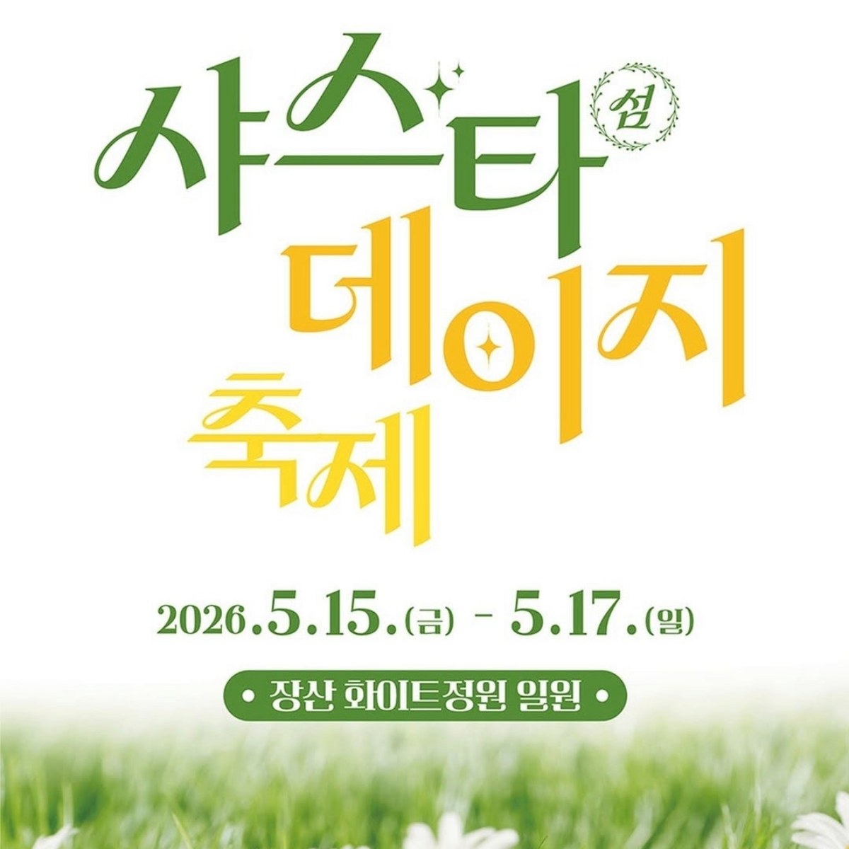 신안 샤스타데이지축제