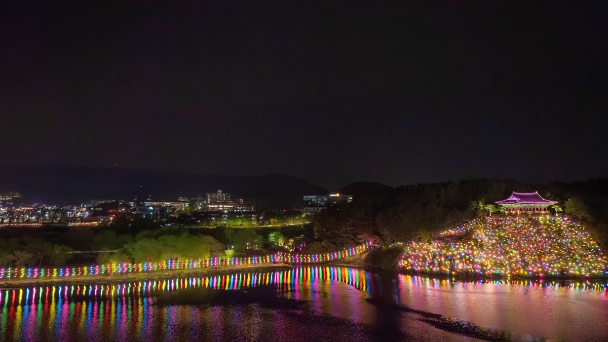 형산강 연등문화축제 연등숲