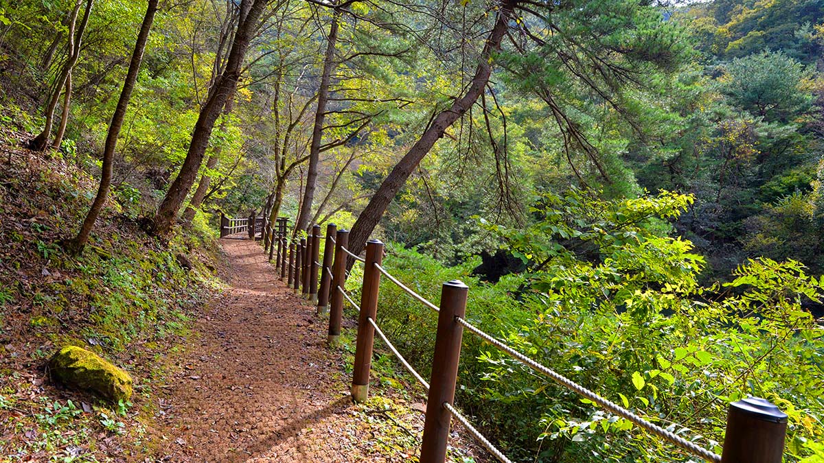 상소동 산림욕장 등산 코스