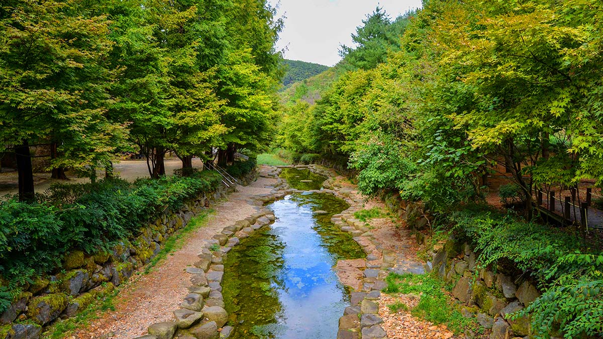 상소동 산림욕장 계곡
