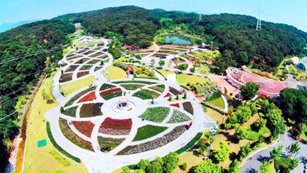 울산대공원 전경