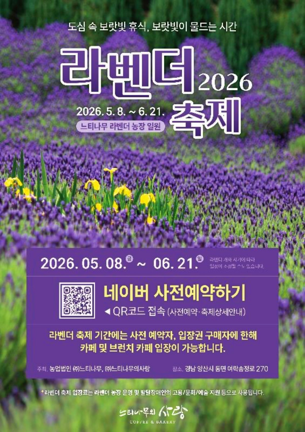 양산 느티나무의사랑 라벤더축제 포스터