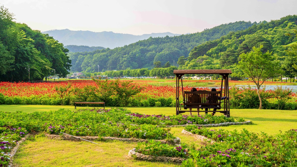 함양 상림공원 풍경