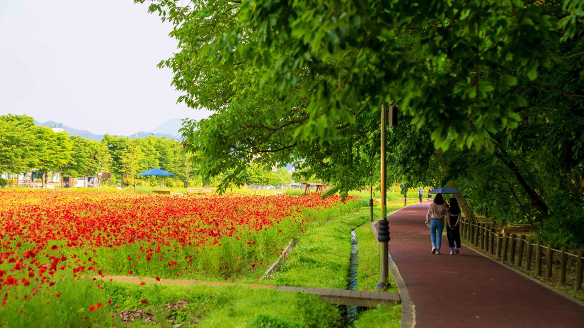 함양 상림공원 산책로