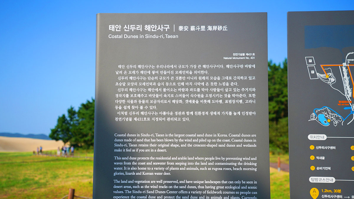 태안 신두리 해안사구 탐방로 안내판