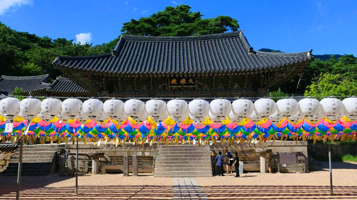 동화사 연등 경관