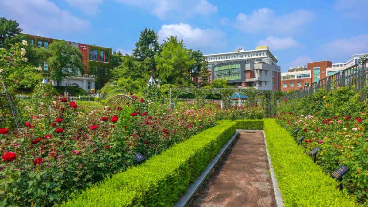 조선대학교 장미원