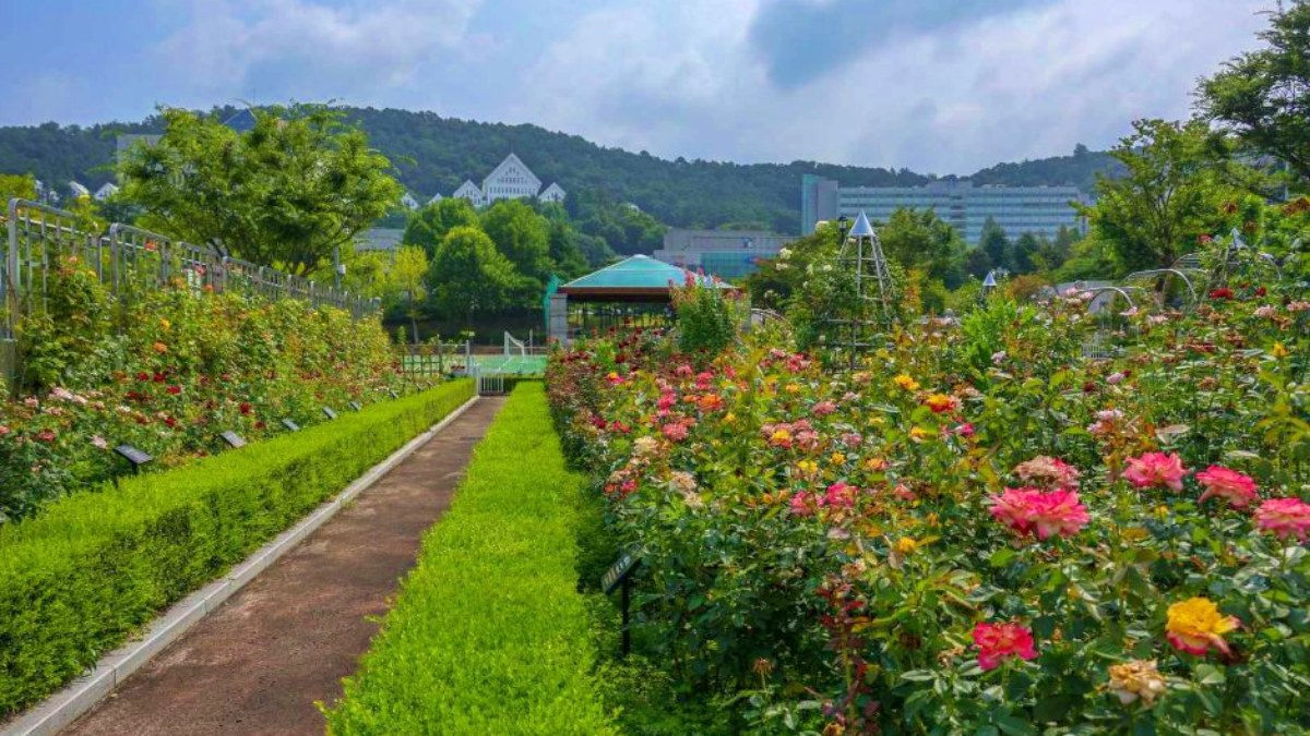 조선대학교 장미원