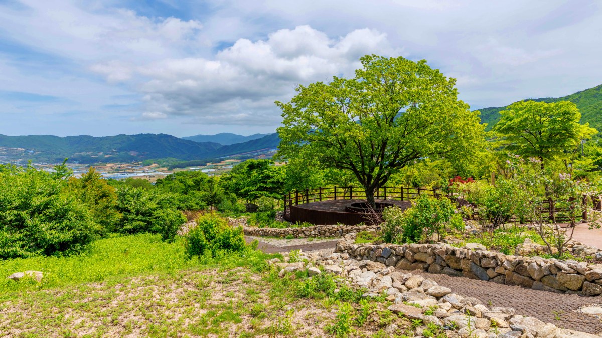 DMZ 자생식물원