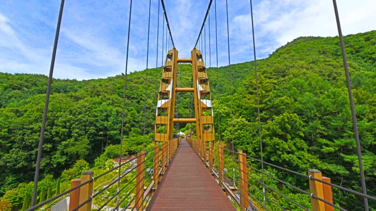 좌구산 명상구름다리 풍경