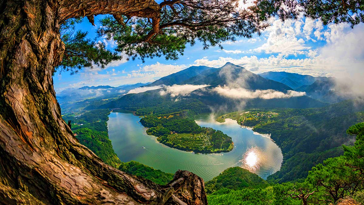 산막이옛길 한반도지형
