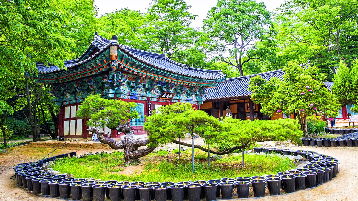 마곡사 응진전 / 사진=게티이미지뱅크
