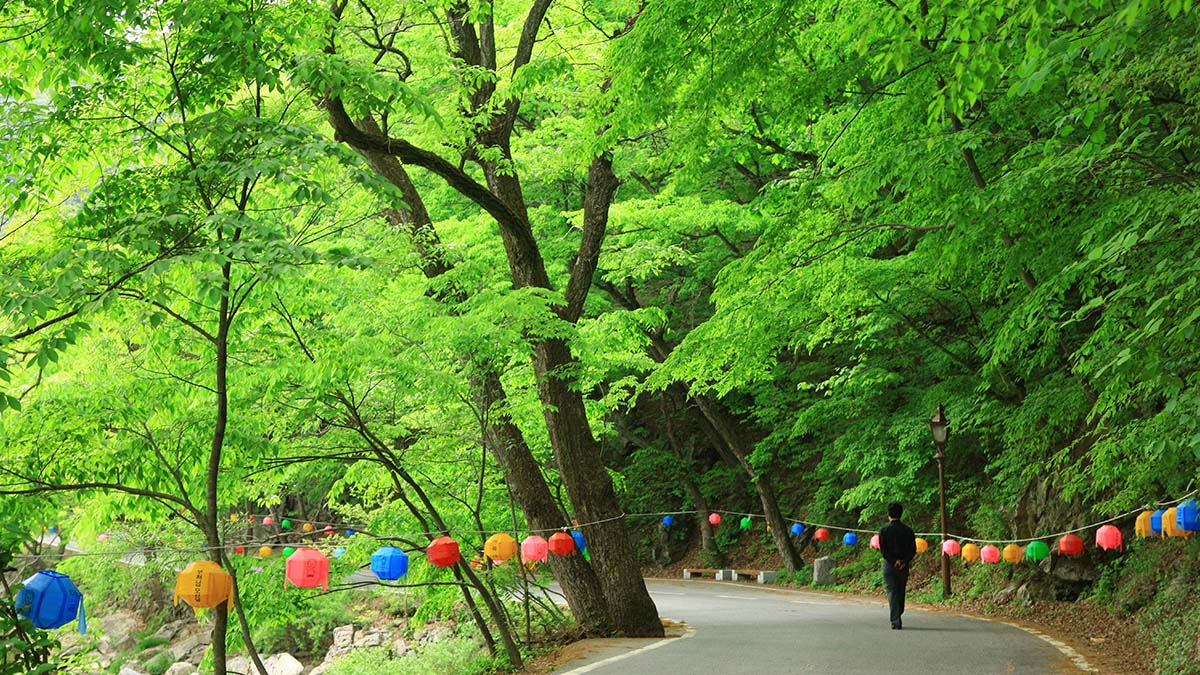 마곡사 산책로 / 사진=한국관광공사 김지호