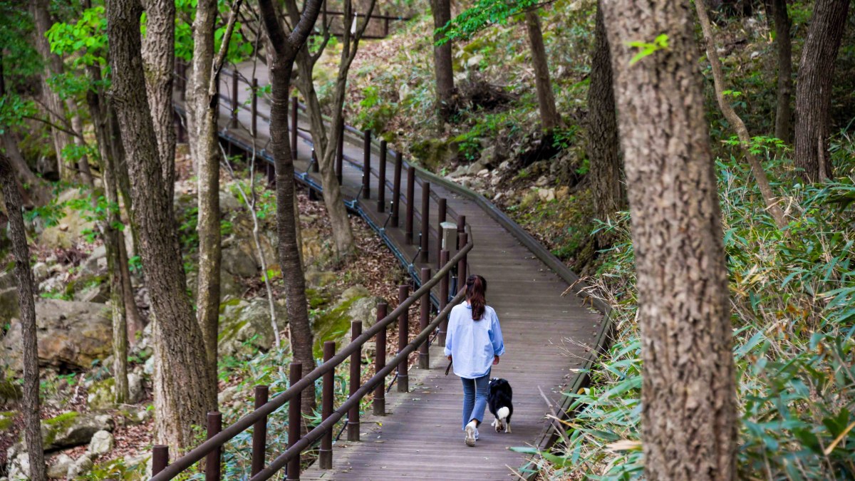 운일암반일암 산책로