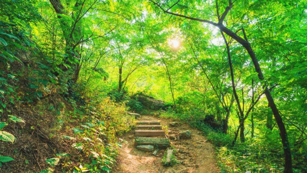 안산자락길 산책로