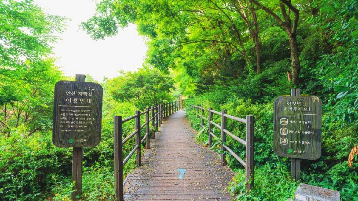 안산자락길 산책 코스