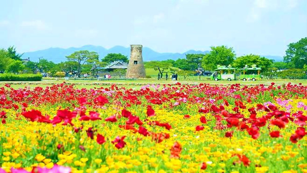 경주 동부 사적지대 모습