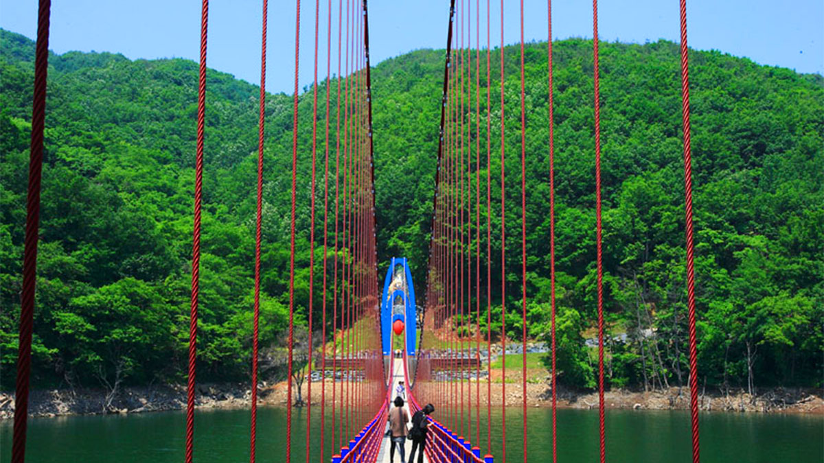천장호 출렁다리 / 사진=청양군