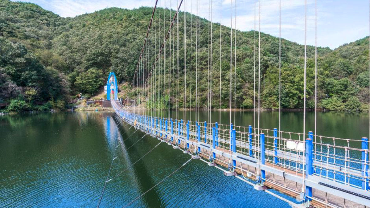 천장호 출렁다리 풍경