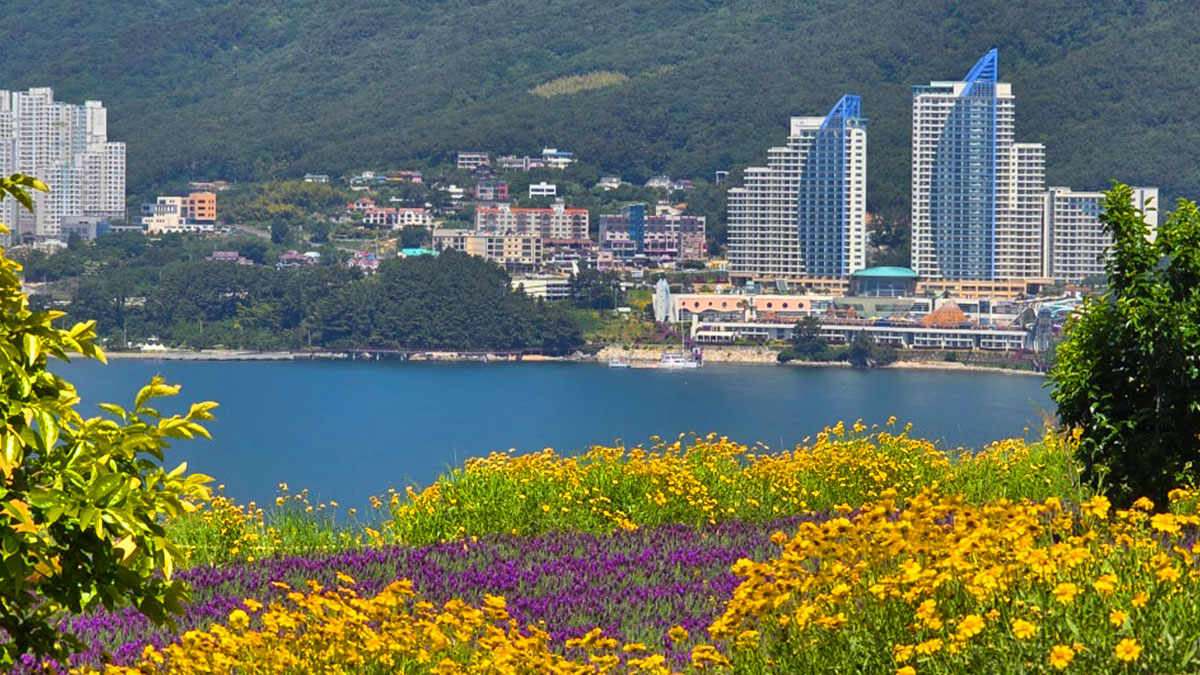 지세포진성꽃동산