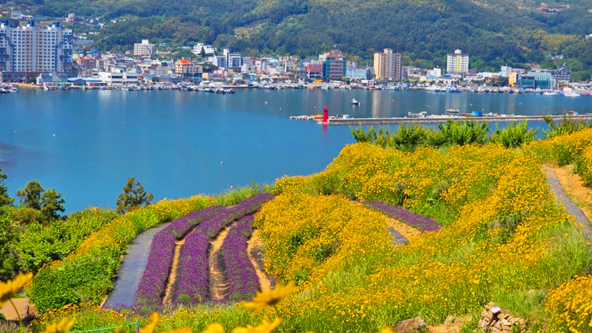 지세포진성꽃동산 풍경
