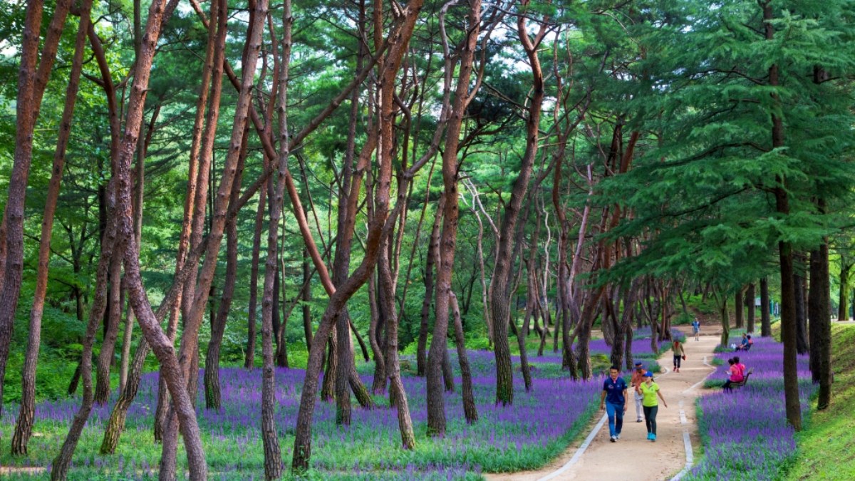 금오산 도립공원 풍경