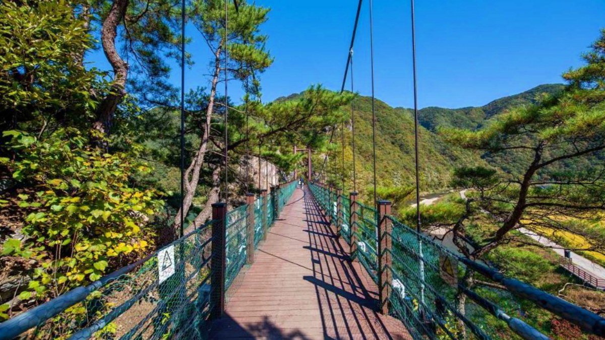충주 수주팔봉 출렁다리 모습