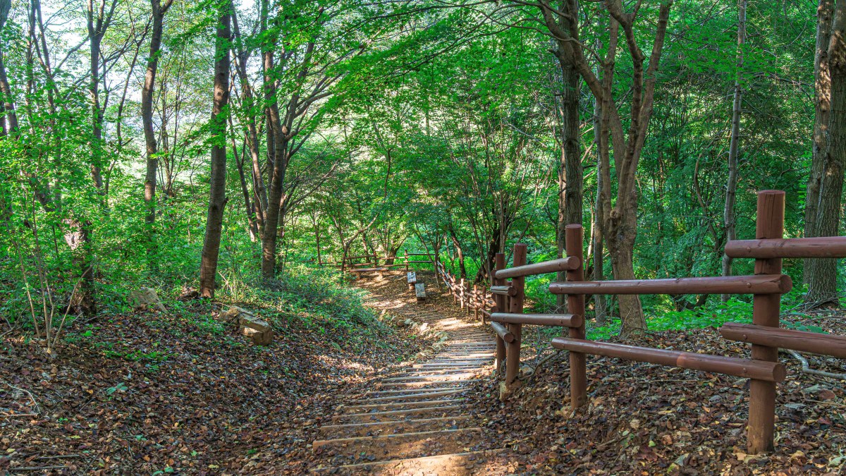 도덕산 산책로