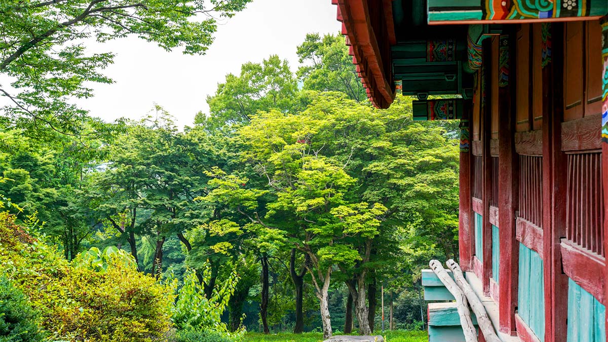 다솔사 풍경