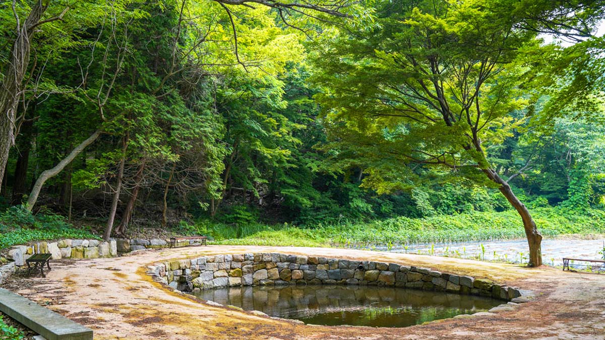 다솔사 주변 풍경