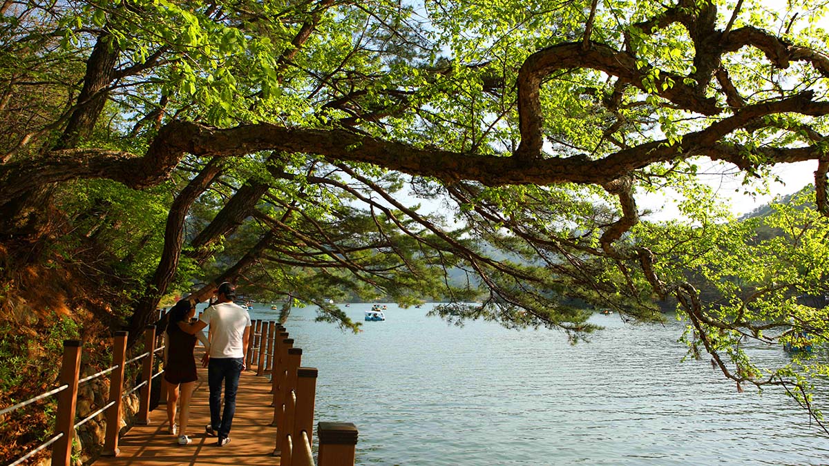 산정호수 산책로