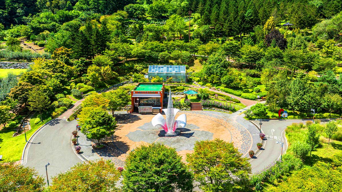 홍천 무궁화수목원 전경