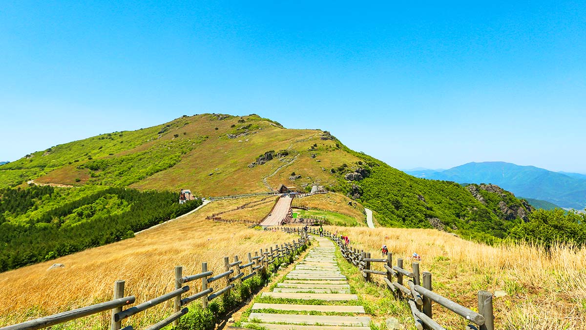울산 간월재