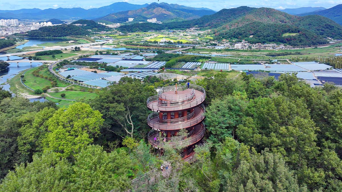 용두산 생태공원 전망대