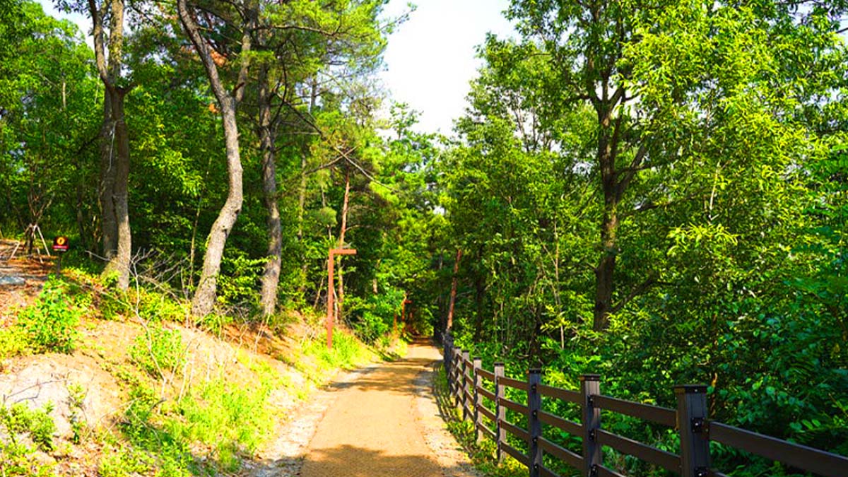 용두산 생태공원 숲길