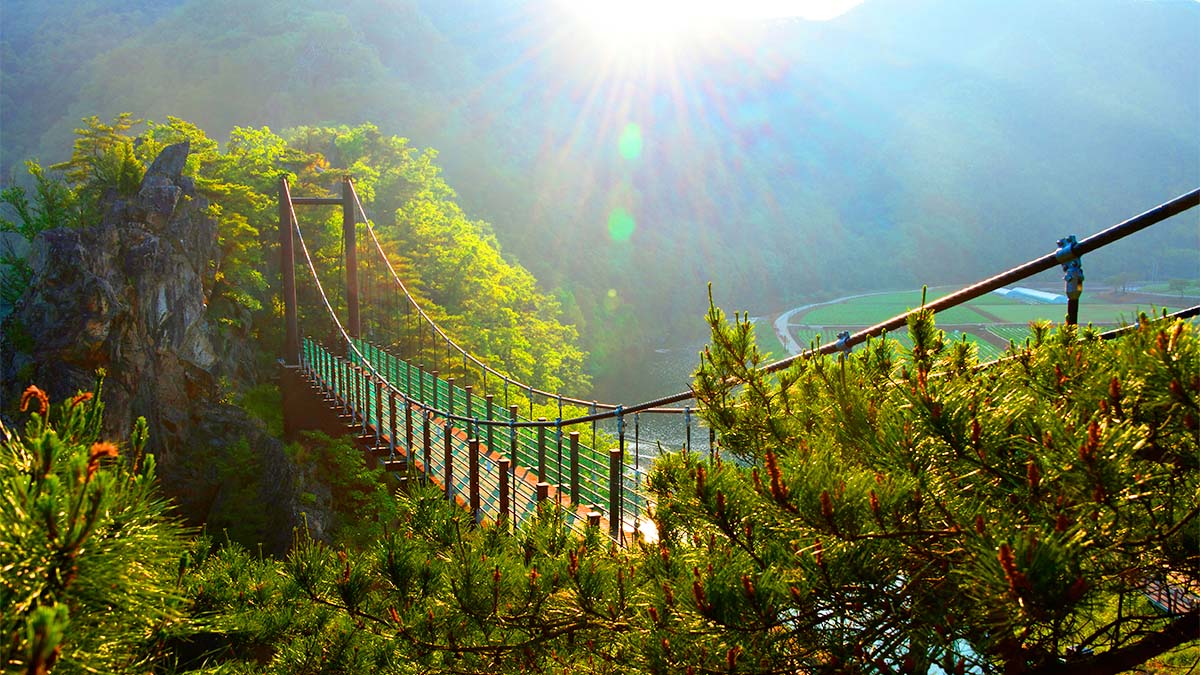 출렁다리 전경