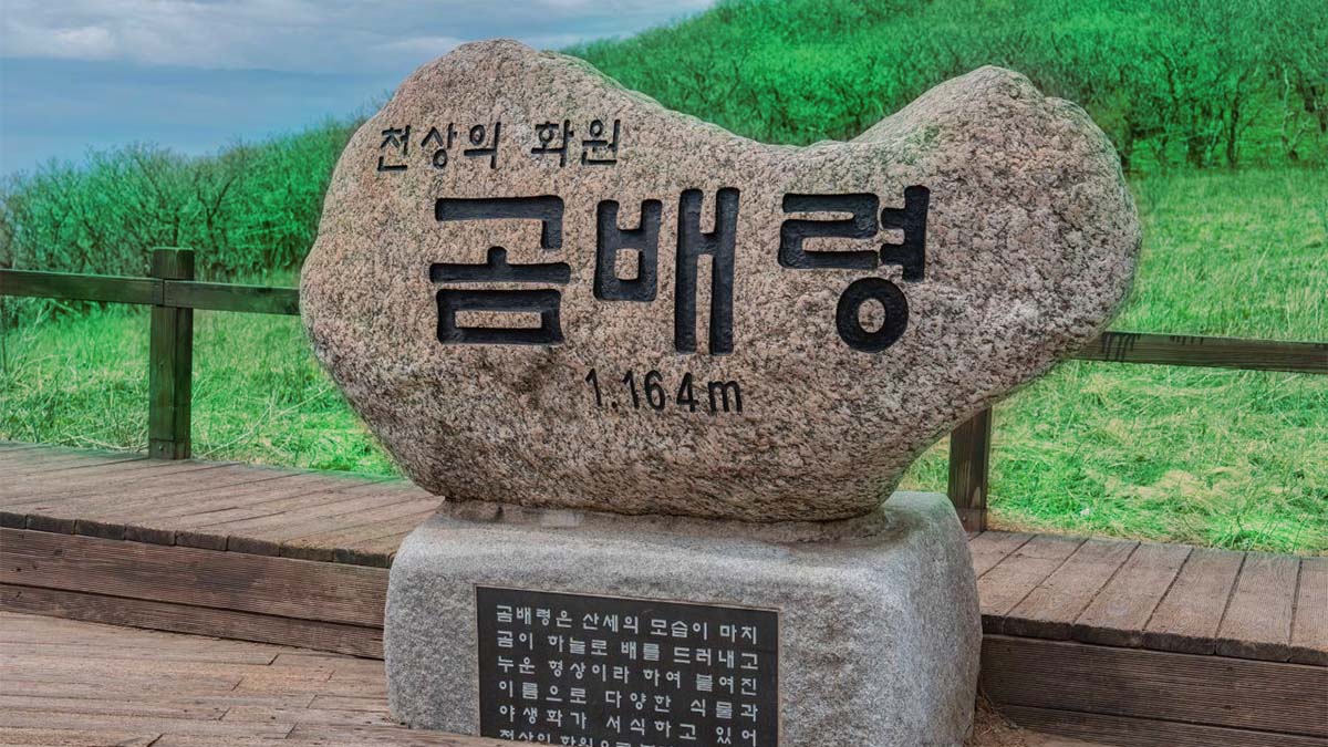 곰배령
