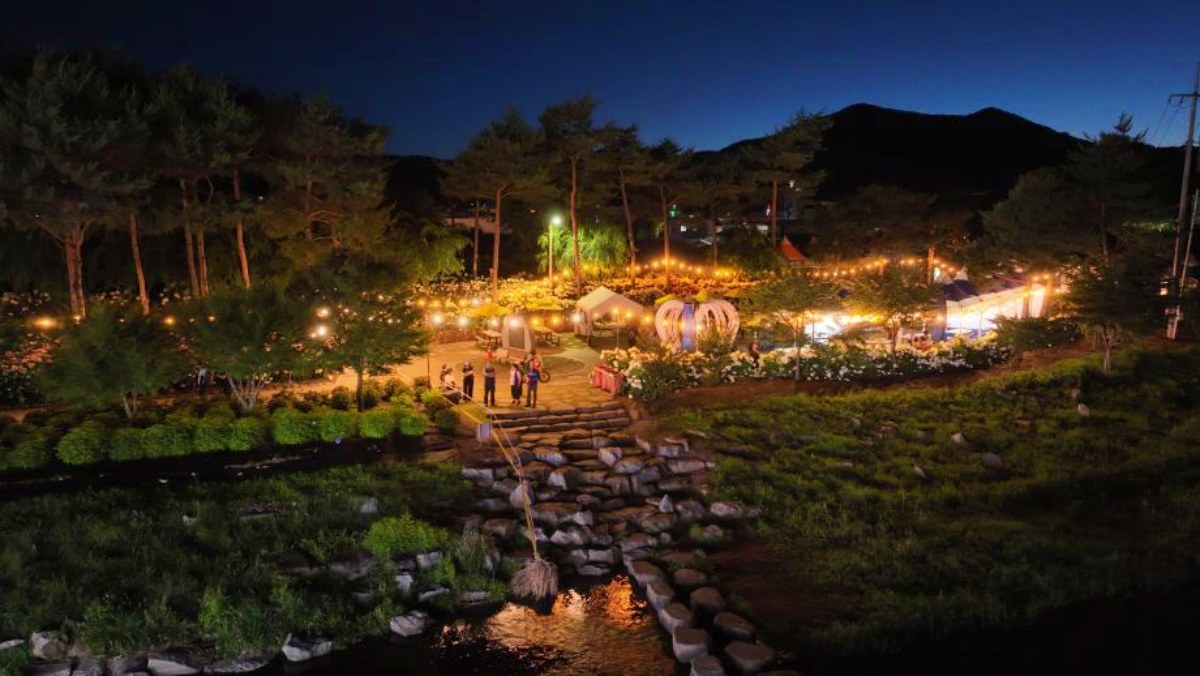 공주 유구 색동수국정원 야간경관