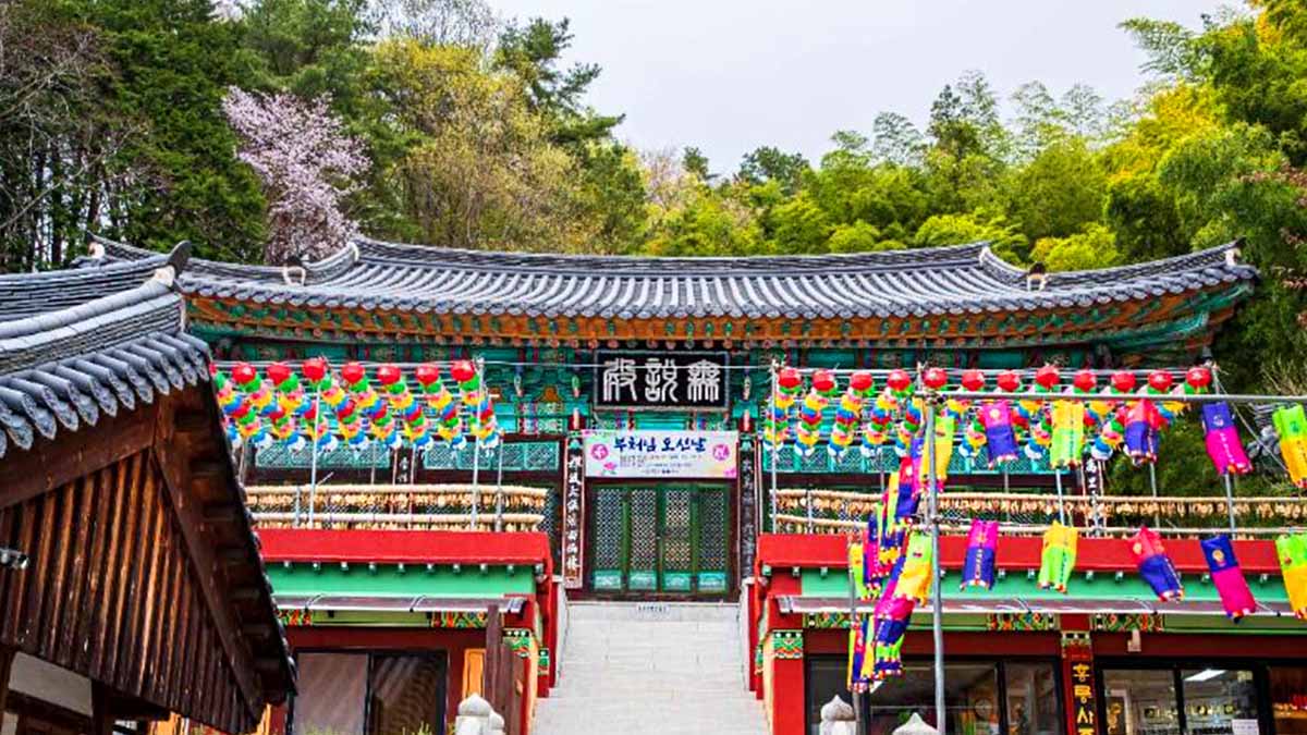 홍룡사 전경