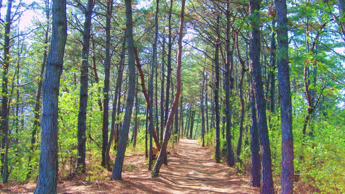진주 숙호산, 서늘한 숲 그늘을 걷는 초록빛 산책길