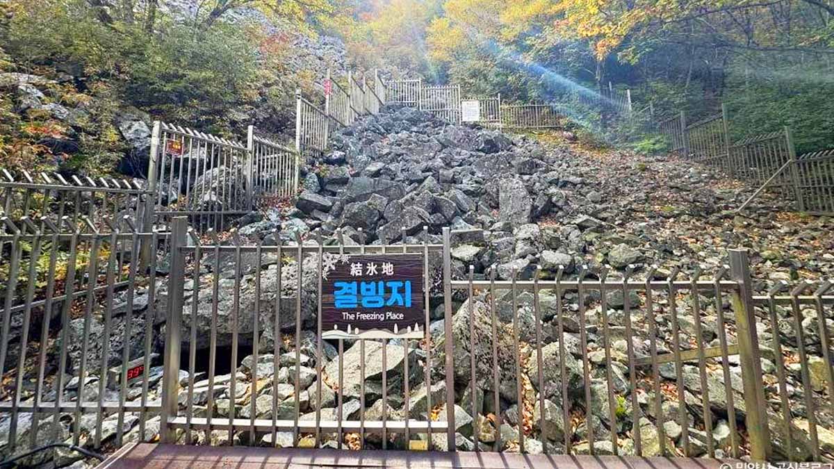 결빙지 풍경