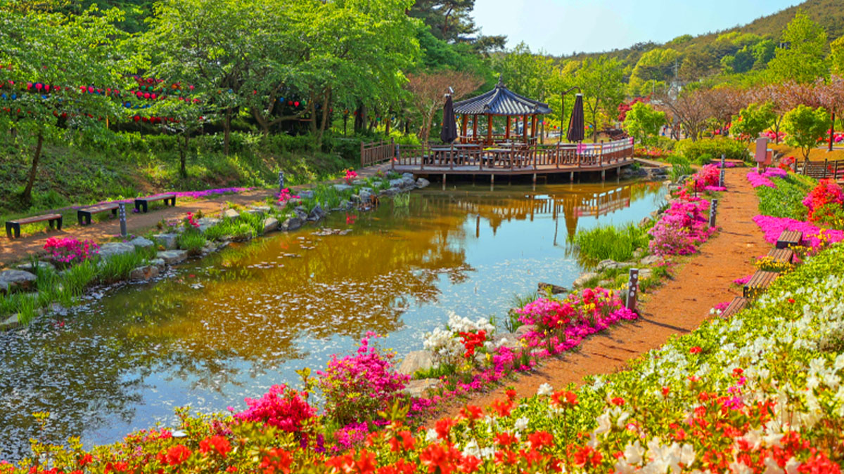 삼선산수목원 생태연못