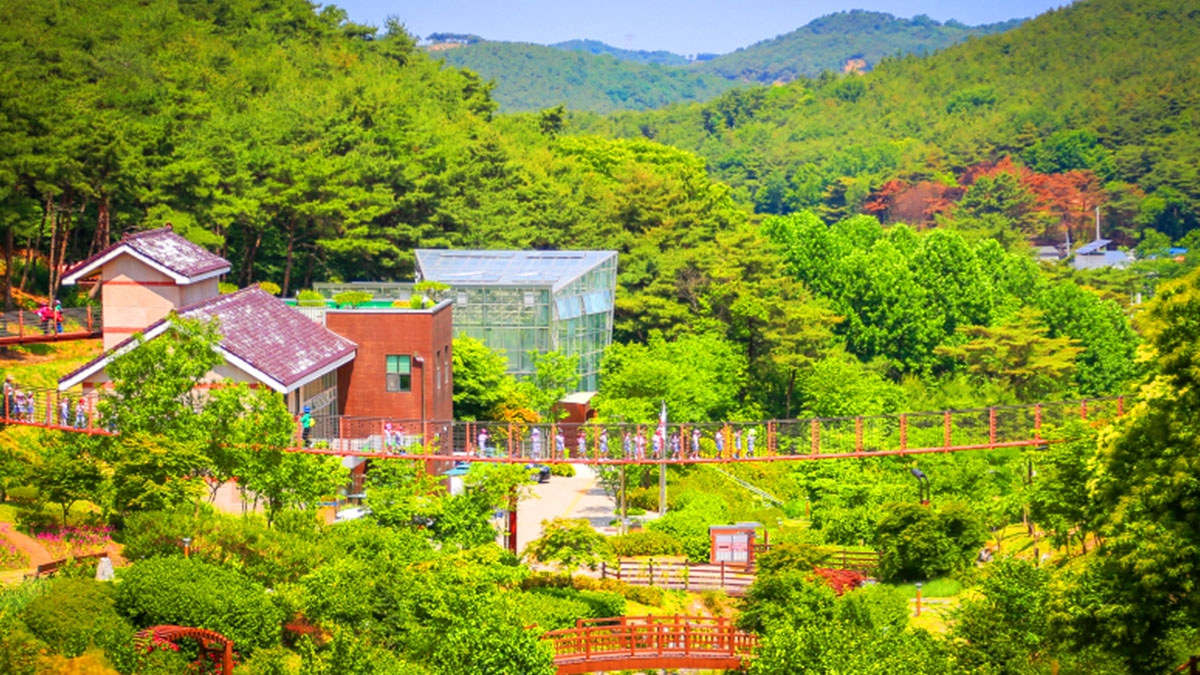 삼선산수목원 출렁다리