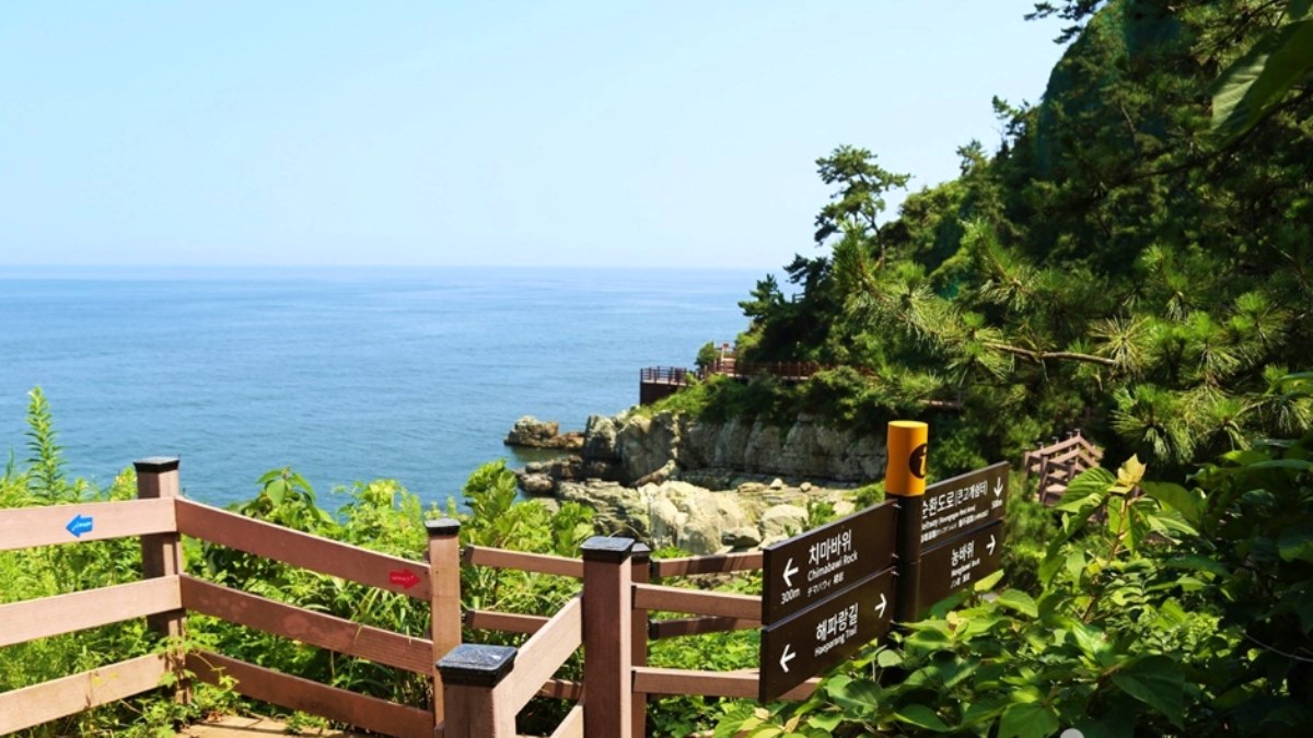 이기대 해안산책로 데크길 / 사진=한국관광콘텐츠랩