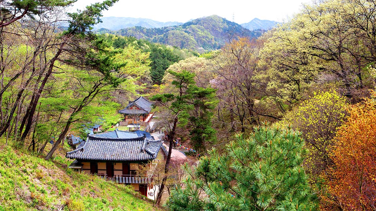 골굴사 전경