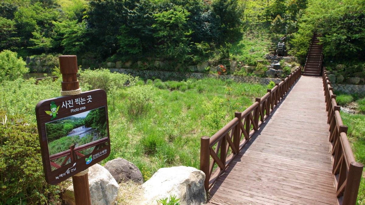 완도수목원 데크길 / 사진=한국관광공사 김지호